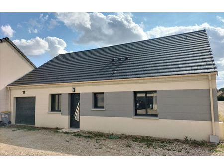 vente maison 4 pièces 110 m² sens (89100)