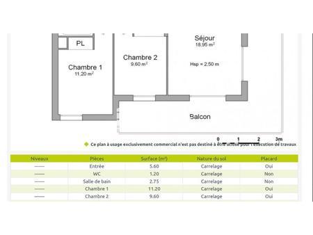 gex  t3 recent  acces centre ville a pied  proche bus pour geneve  situe en rez de jardin 