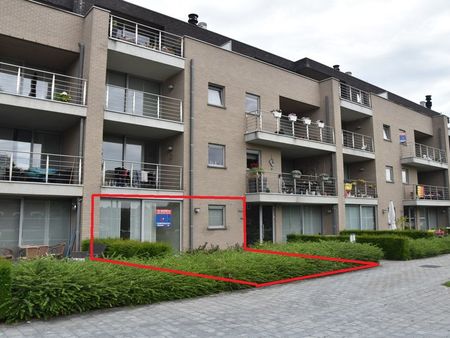 appartement à louer à tongeren € 860 (krx94) - confideo immo | zimmo