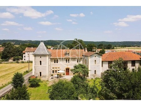 manoir à vendre à villeneuve-de-rivière