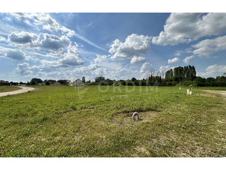 vente terrain 962 m² sancerre (18300)