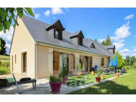 vente maison 7 pièces 236 m² saint-aignan (41110)
