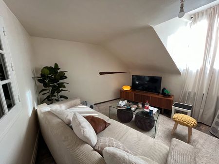 appartement t3 refait a neuf amboise île d’or