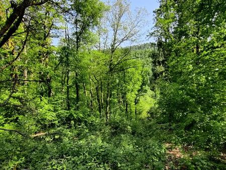 terrain forestier de 890 m2