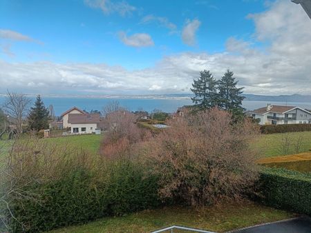 villa avec jardin et vue sur le léman