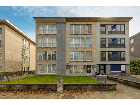 huis te koop in turnhout met 8 slaapkamers