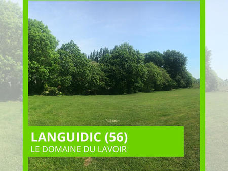 vente terrain à languidic (56440) : à vendre / languidic