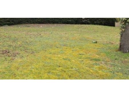 terrain 420 m² saint ouen l aumone