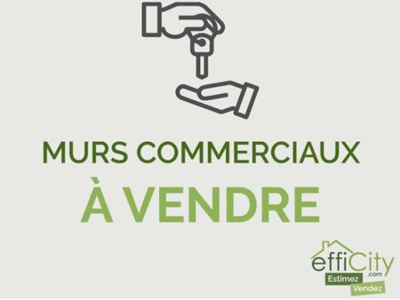 vente locaux professionnels 3 pièces 110 m²