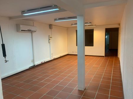 local commercial dillon zone franche 72m2