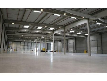 local logistique 18 000 m²