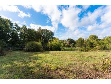 terrain 257 m² saint antoine du rocher