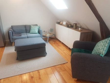 bel appartement 41m2 meublé hypercentre