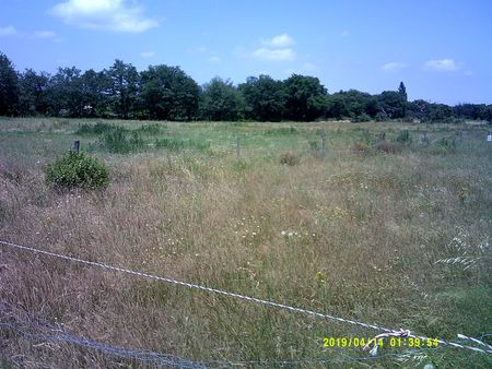 terrain agricole