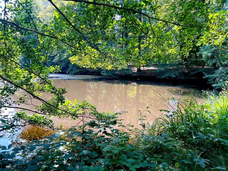 superbe étang à vendre à ueberstrass – un havre de paix pour les amoureux de la nature