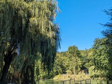 bord d'eau avec ponton ☀️