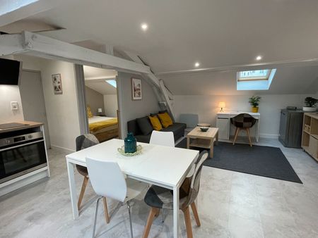 particulier loue superbe t2 meublé de 42m2 avec climatisation réversible et une cave