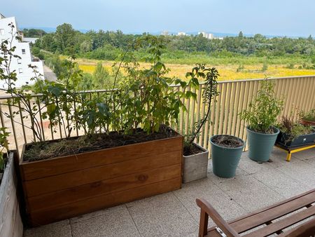 appartement t3 avec balcon