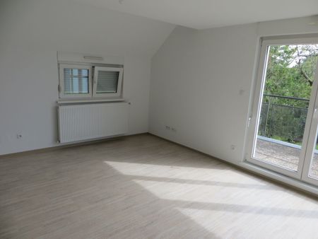 appartement 3 pieces a benfeld