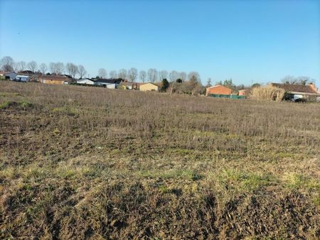 terrain 771 m² gaillac