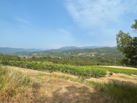 terrain agricole avec vignes