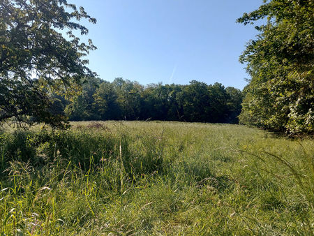 terrain a batir avec facade de 36m env. - coulommiers