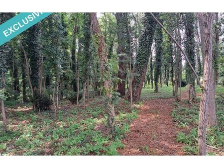 vente terrain 3100 m² roquefort (40120)