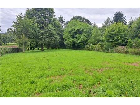 vente terrain 1654 m² jumilhac-le-grand (24630)