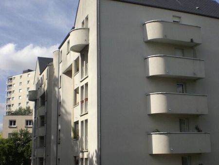 appartement 2 pièces - 49m² - orleans