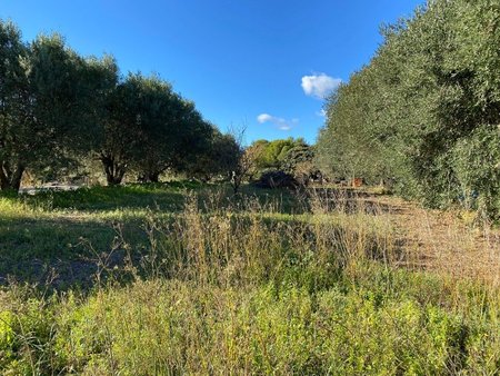 terrain à bâtir à saint-cyr-sur-mer (83270)