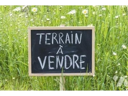 vente terrain 7350 m²