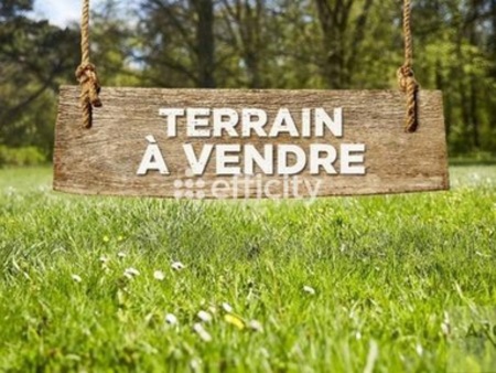 terrain - 338 m²