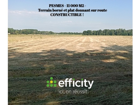 terrain - 11000 m²