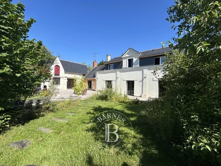 maison de luxe à vendre à brain-sur-l'authion