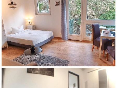 beau f1 de 33 m2 avzc balcon  meublé et stationnement gratuit au pied de l'immeuble