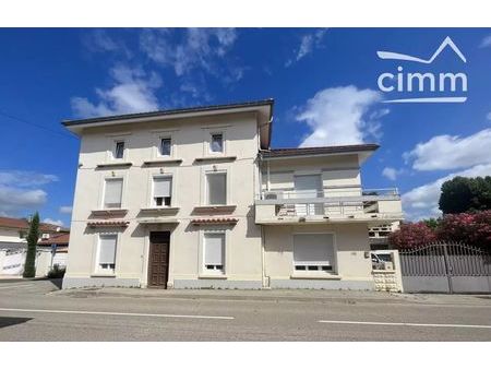 vente maison 13 pièces 341 m² jarcieu (38270)