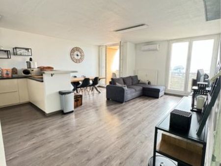 appartement t3