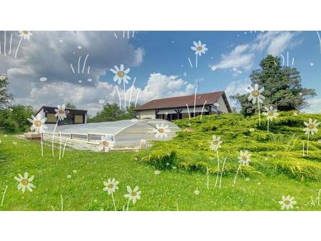 à vendre : maison de plain-pied surélevée avec piscine et grand terrain arboré