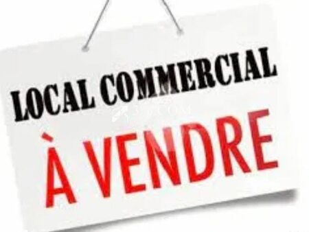 vente locaux professionnels 133 m²