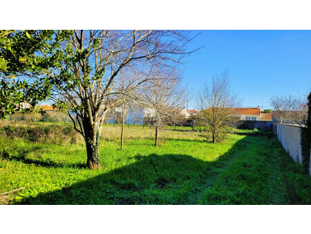 vente terrain constructible marennes  1800m² 209 000€ charente-maritime poitou-charentes