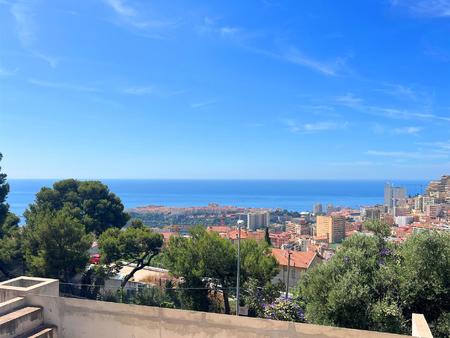 vue mer panoramique  a pieds de monaco