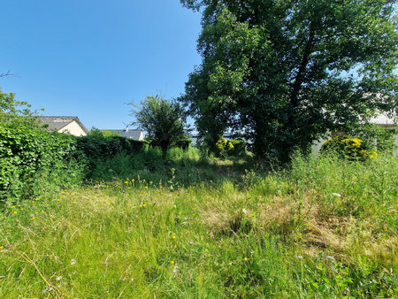 terrain st barthelemy d'anjou