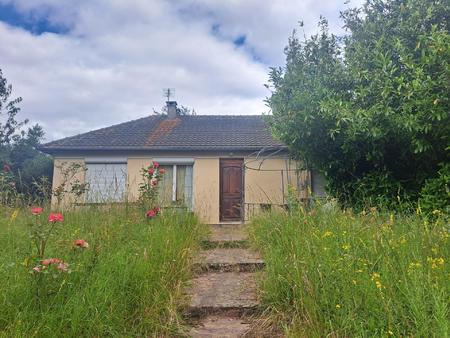 maison de plain pied avec sous-sol  hangar  jardin