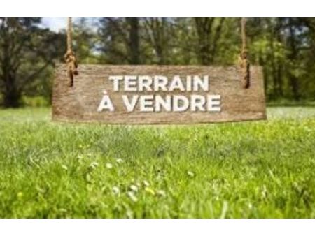 vente terrain 1000 m² aléria (20270)