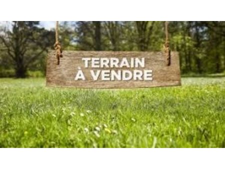 vente terrain 1000 m²