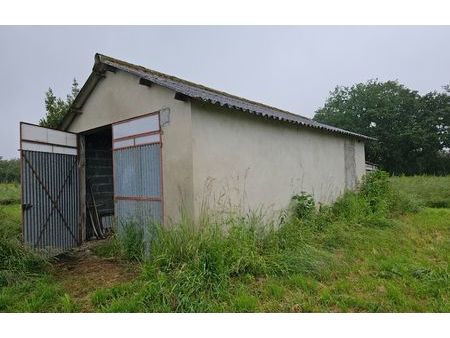 vente maison 3251 m² souvigny (03210)