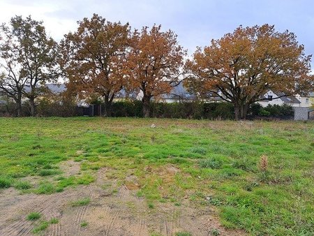 terrain à bâtir à trélazé (49800)