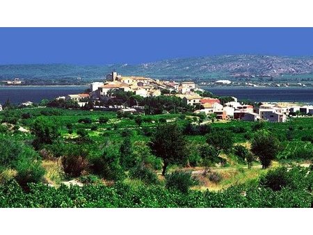 terrain à bâtir à bages (11100)