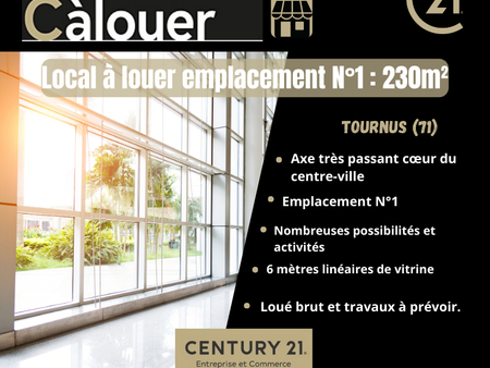 location de local commercial de 230 m² à tournus - 71700