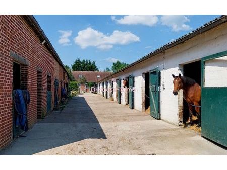 petite écurie de valorisation au pied du haras du pin.